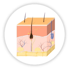 Phasing out (New Hair Phase)